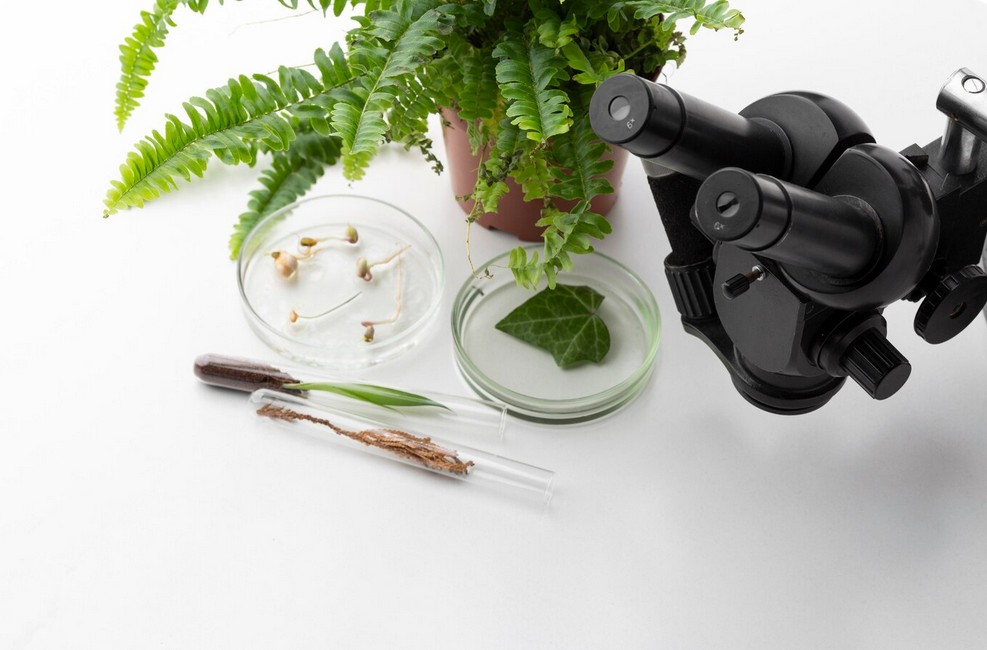 a microscope and plants in a pot