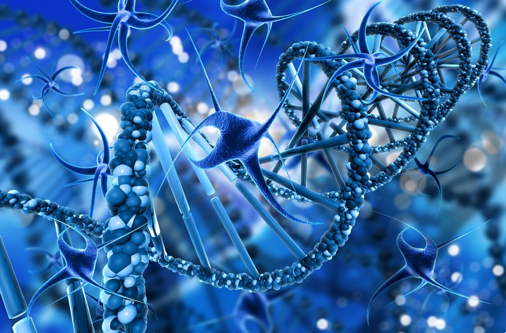 a blue dna strands and neurons