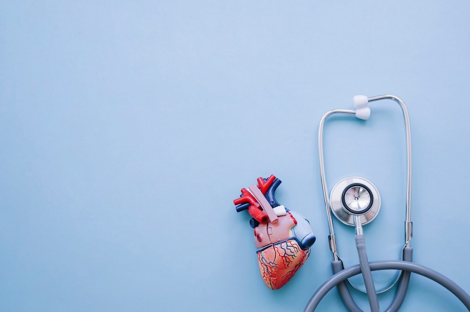 a stethoscope and model of a heart