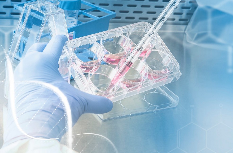 a hand holding a syringe over a plastic container