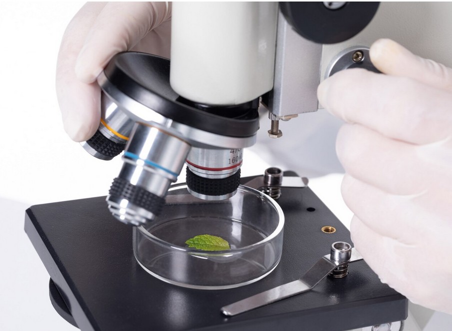 Biotechnology Translation Services a researcher examining a plant under a microscope