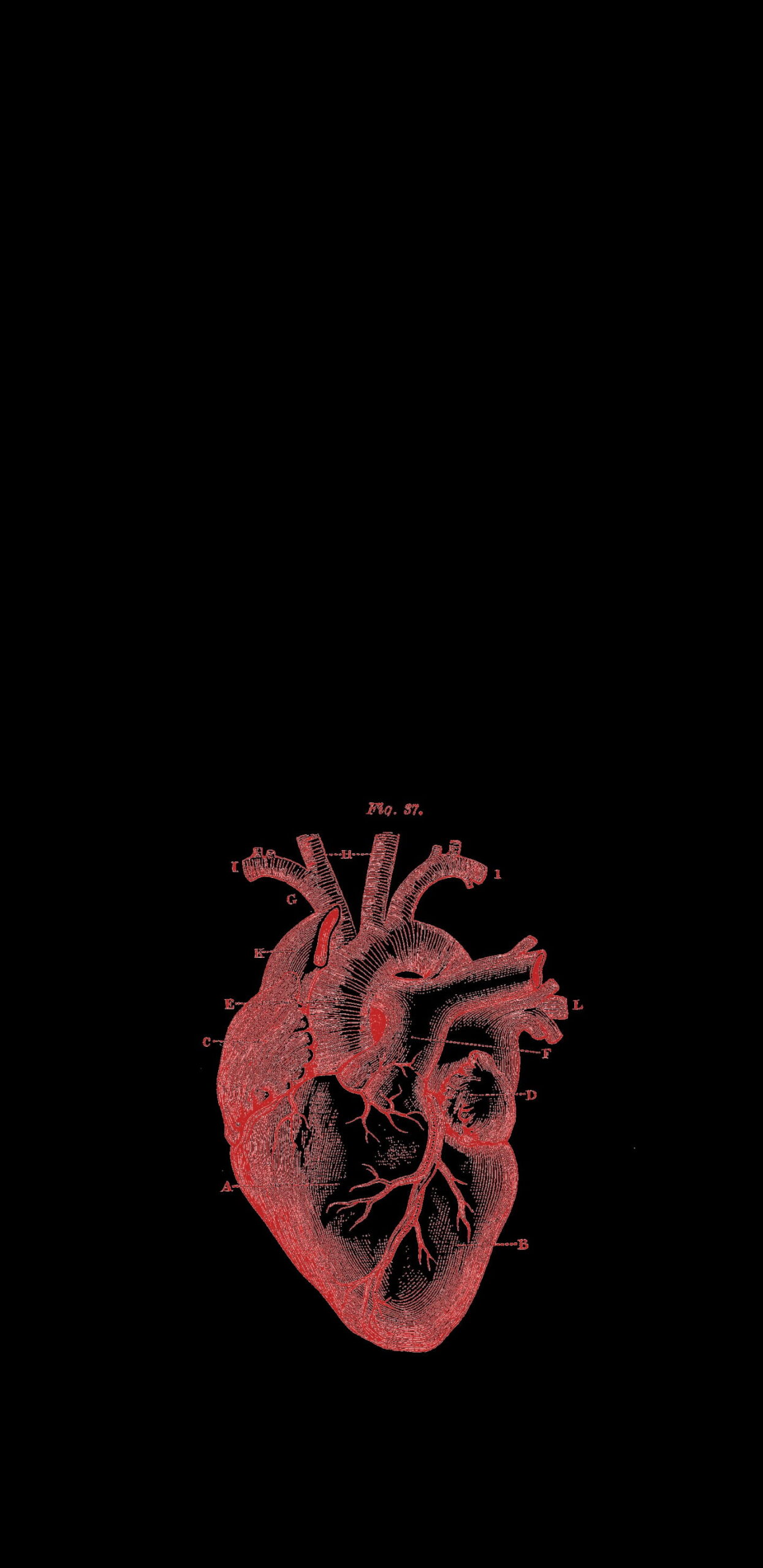 Beyond Terminology: Expert Translation for Your Most Critical Life Science Documents. an image showing a red heart