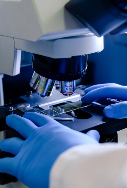 Maximize ROI: How to Request a Life Science Translation Quote That Delivers. a doctor working on a microscope