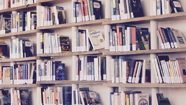 language consultancy services