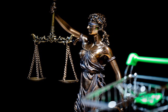 Professional Legal Translation Services
