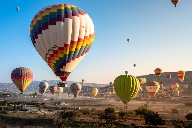 Trusted high quality travel and toursin translation services